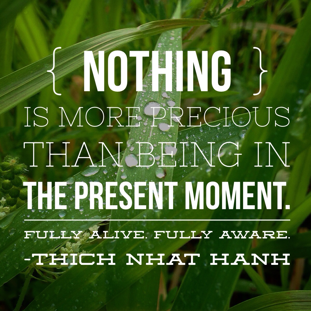 BFP Moment: Fully Alive, Fully Aware | Being Fully Present