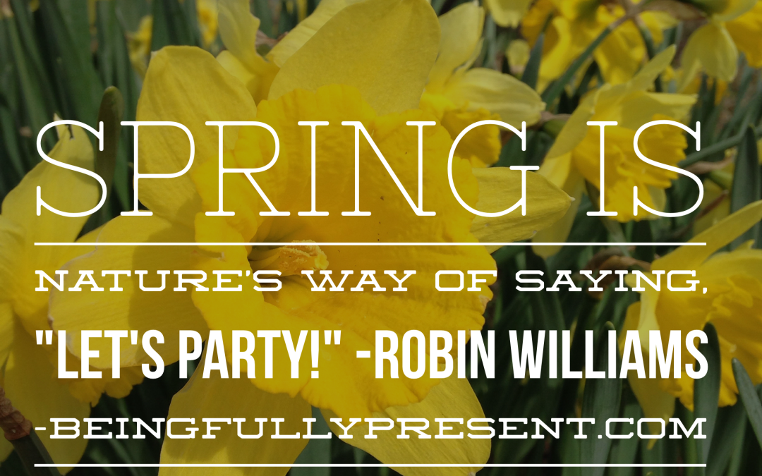 BFP Inspiration Moment on the Spring Party!