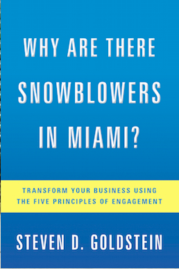 Book Review: Why Are There Snowblowers in Miami?