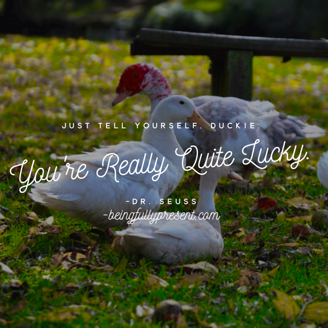 BFP Inspiration Moment on Being Lucky, Duckie
