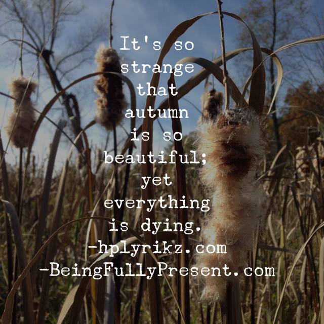 BFP Inspiration Moment on the Beauty of the Autumn Dying